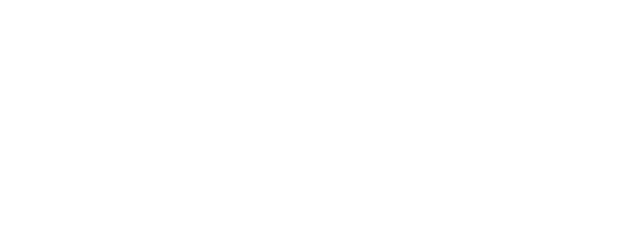 BASF Logo weiß